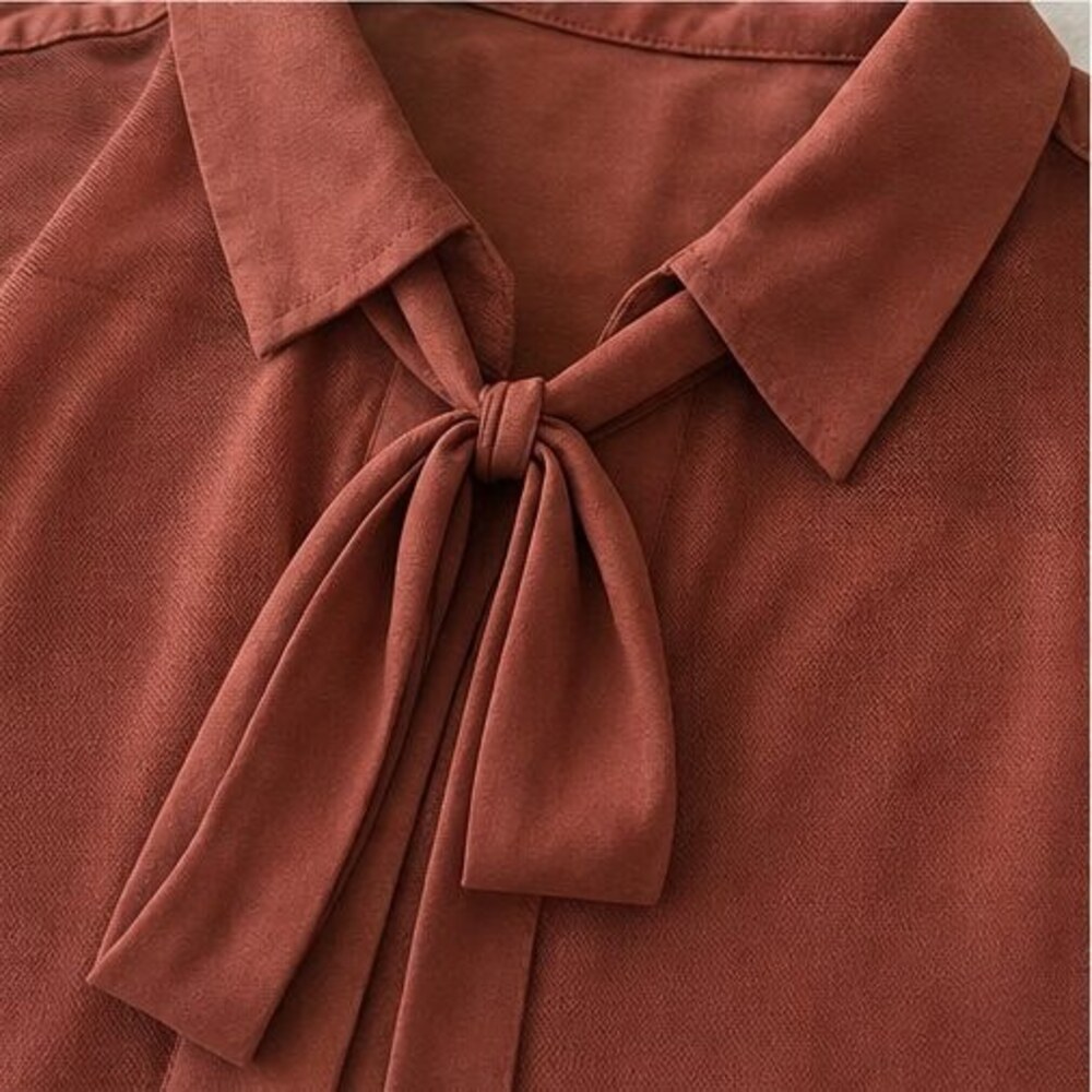 Rust Wrap Blouse - Picture 4 of 6